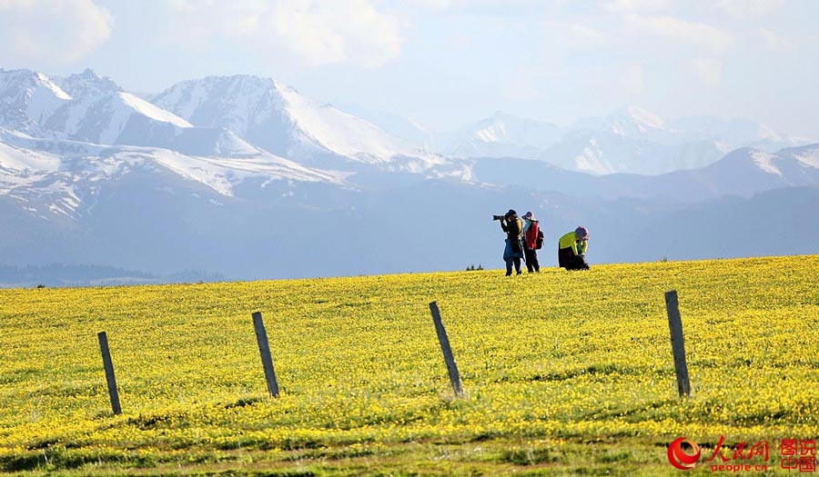 Xingjiang's idyllic Kalajun Prairie