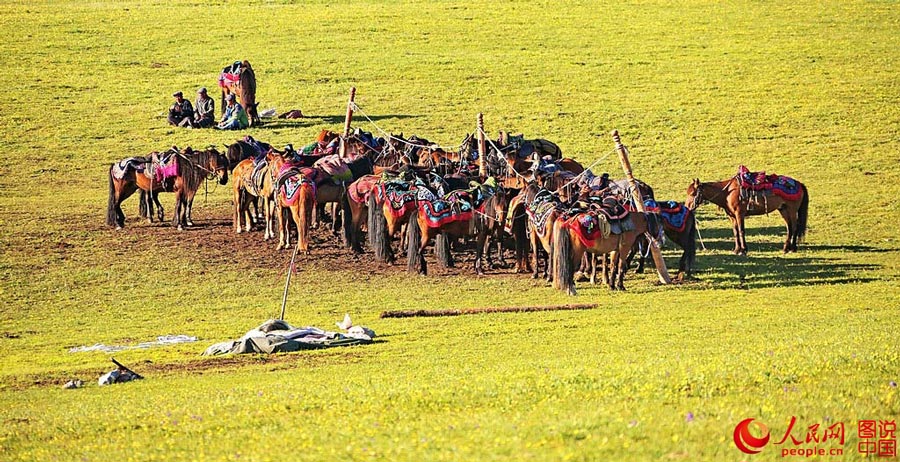 Xingjiang's idyllic Kalajun Prairie