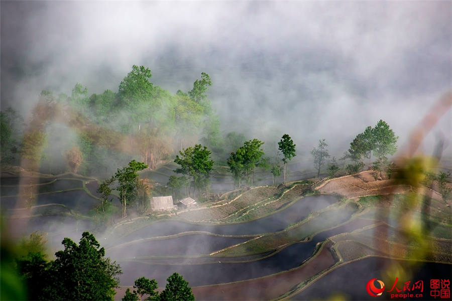 Striking rice terraces in Yunnan province