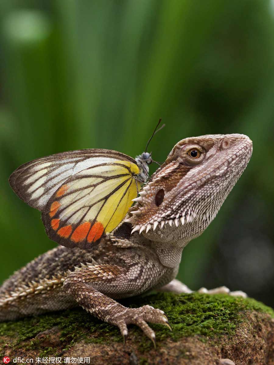 An unlikely friendship captured on film