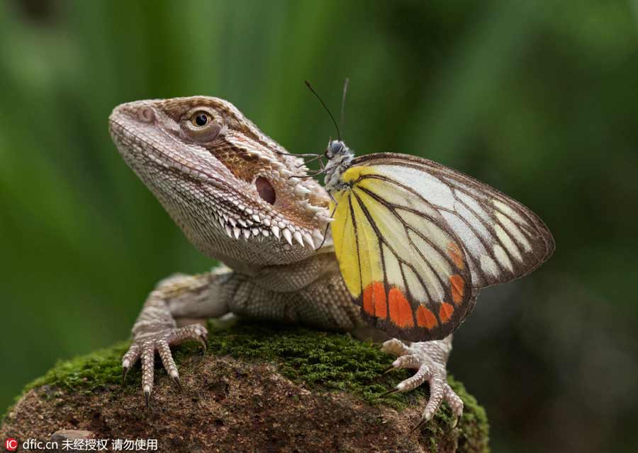 An unlikely friendship captured on film