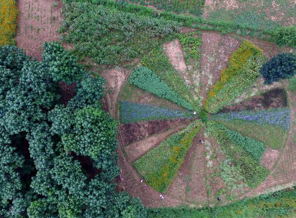 A treat for the eyes! Flowers for every season