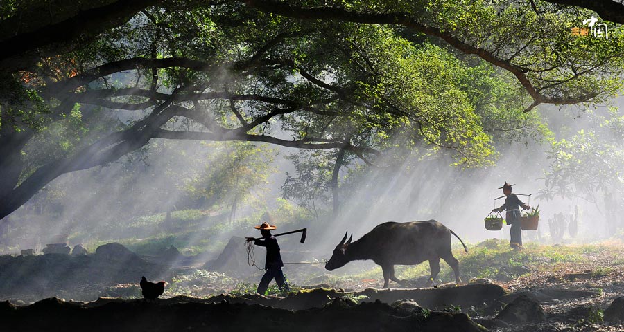 Picturesque Xiapu shoal