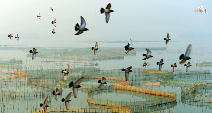 Picturesque Xiapu shoal