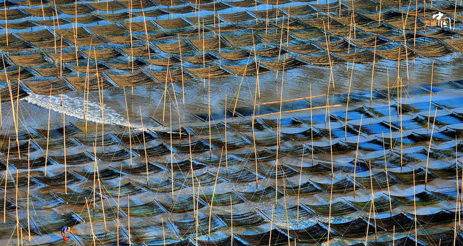 Picturesque Xiapu shoal