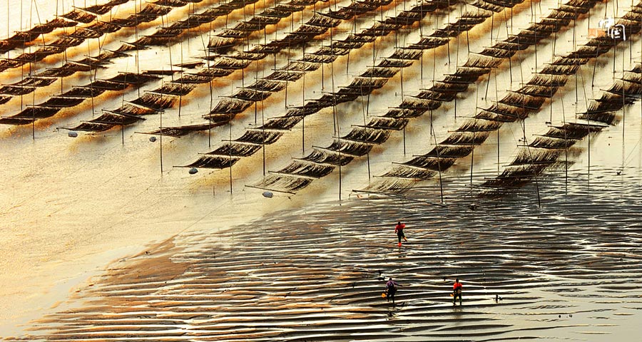 Picturesque Xiapu shoal