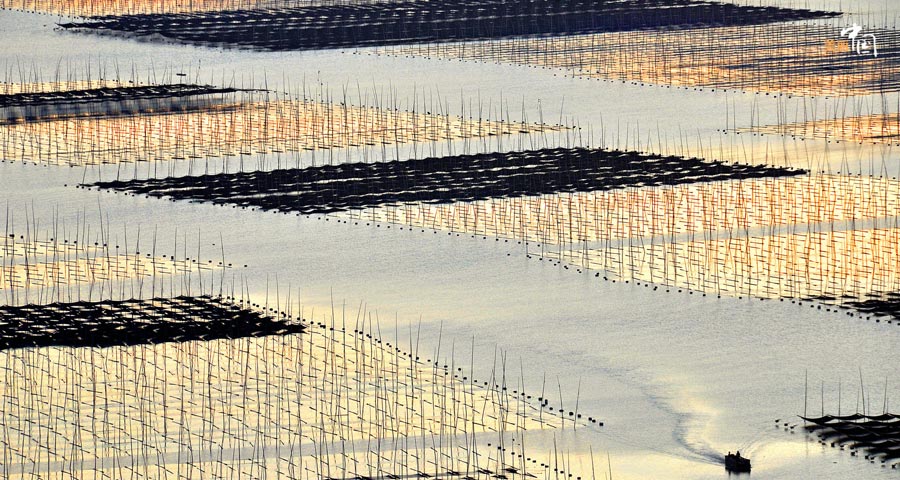 Picturesque Xiapu shoal