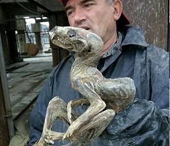 Bizarre mummified creature unearthed in Siberia