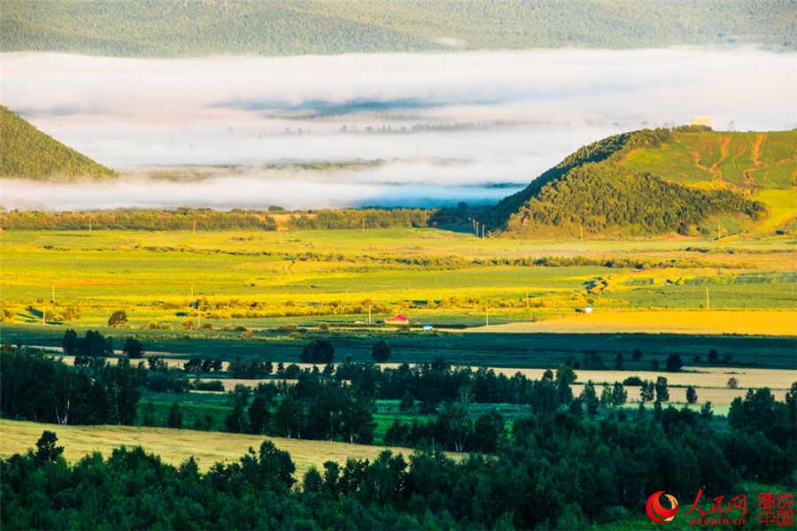 The magnificent Daxinganling primitive forest in autumn