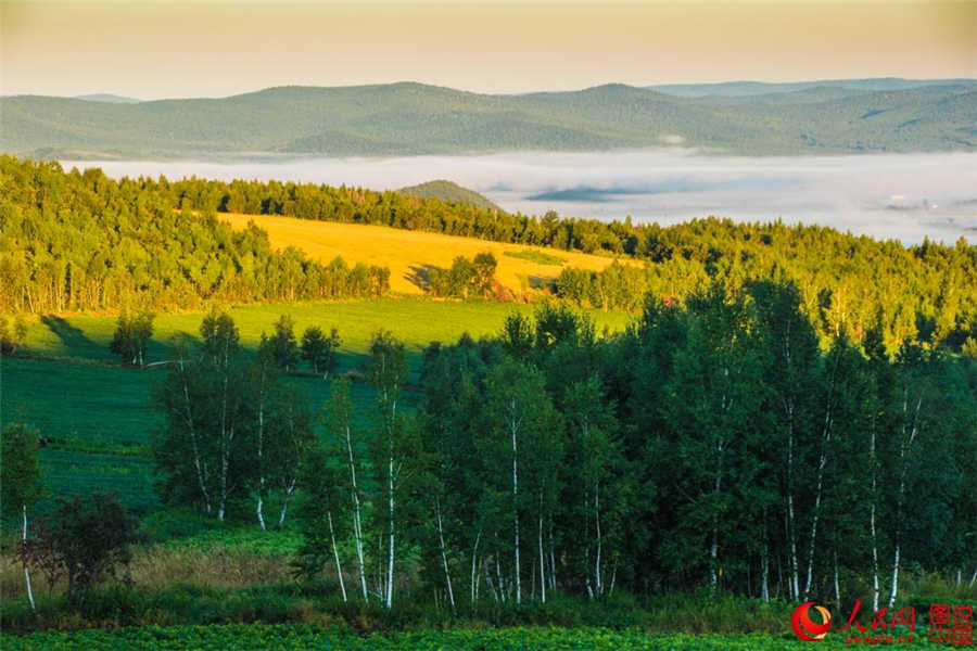 The magnificent Daxinganling primitive forest in autumn