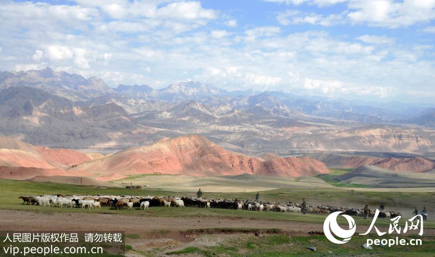 Kyrgyz herdsmen move livestock in preparation for change of season