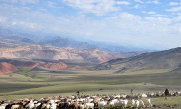 Kyrgyz herdsmen move livestock in preparation for change of season