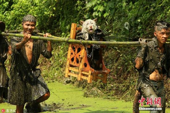 Controversy arises over Miao ethnic group 'dog-carrying' event