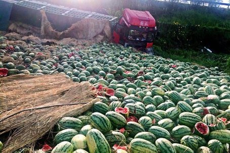 Villagers pitch in to buy damaged watermelons to help owner of overturned truck