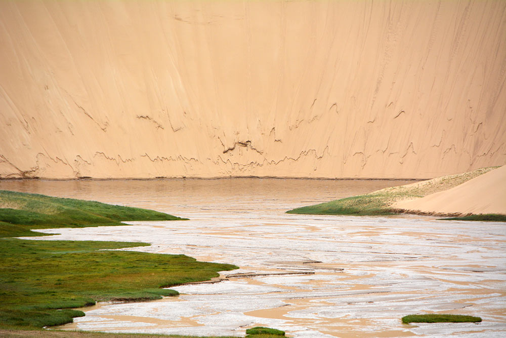 Unpopulated Altyn Mountains nature reserve: paradise for plants and wild animals