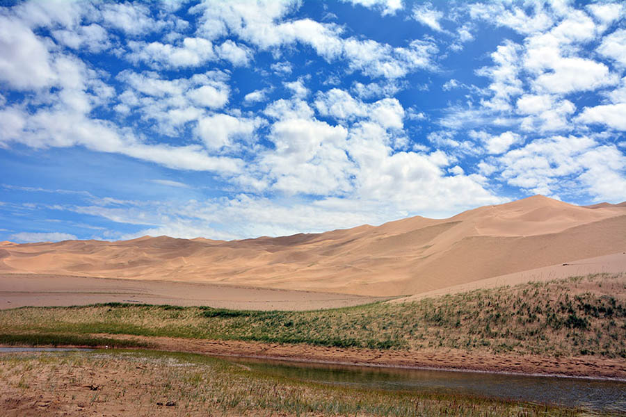 Unpopulated Altyn Mountains nature reserve: paradise for plants and wild animals