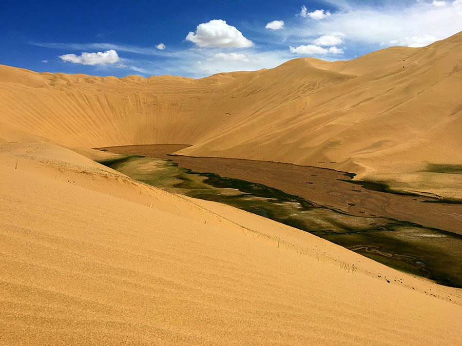 Unpopulated Altyn Mountains nature reserve: paradise for plants and wild animals