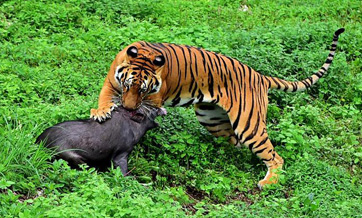 Weekly selection of Xinhua photos (August 14-20)