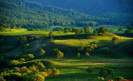 Intoxicating early autumn scenery in northern China