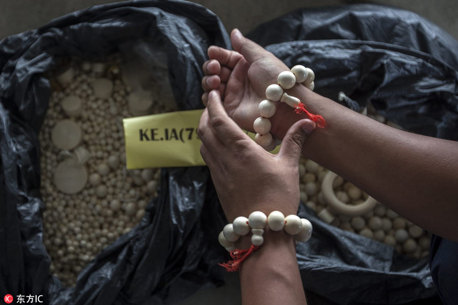 Over 2 million euros of elephant tusks confiscated in Malaysia