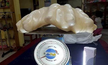 Fisherman found giant 34kg pearl worth $100million