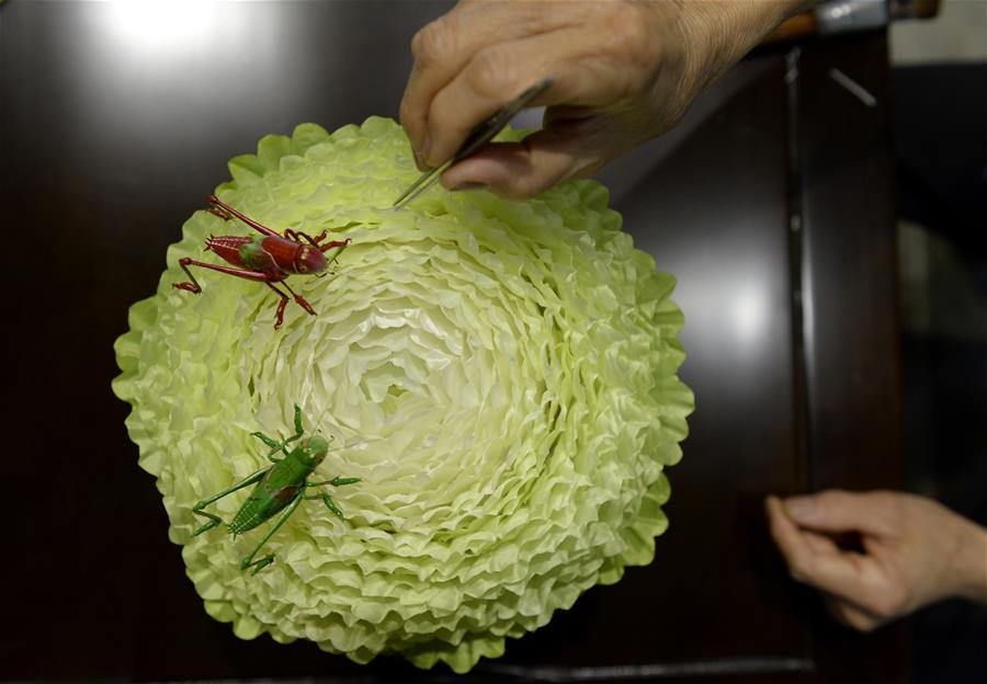 Woman creates silk Chinese cabbage