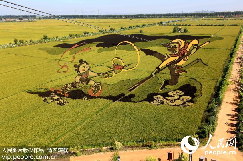 Stunning 3-D images in rice fields