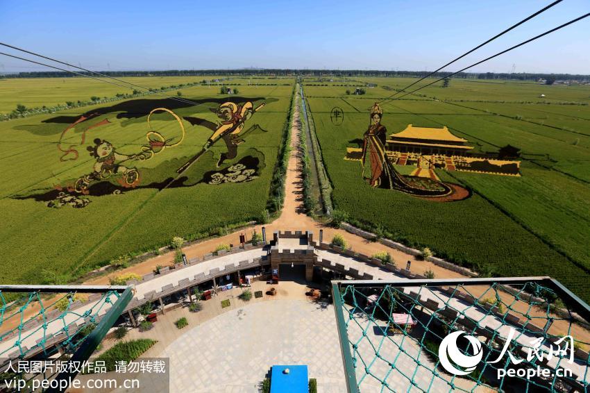 Stunning 3-D images in rice fields