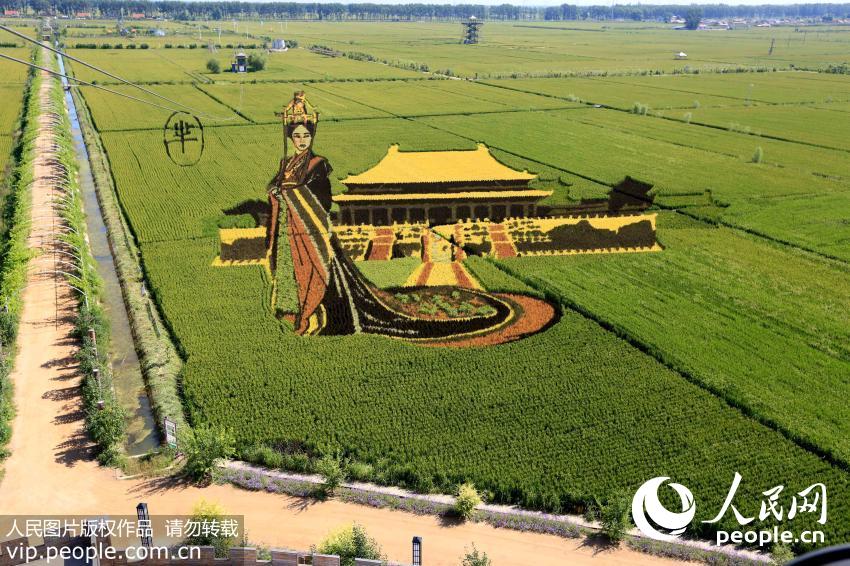 Stunning 3-D images in rice fields