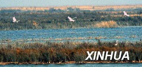3.4 million hectares of wetland in China lost between 2003 and 2013