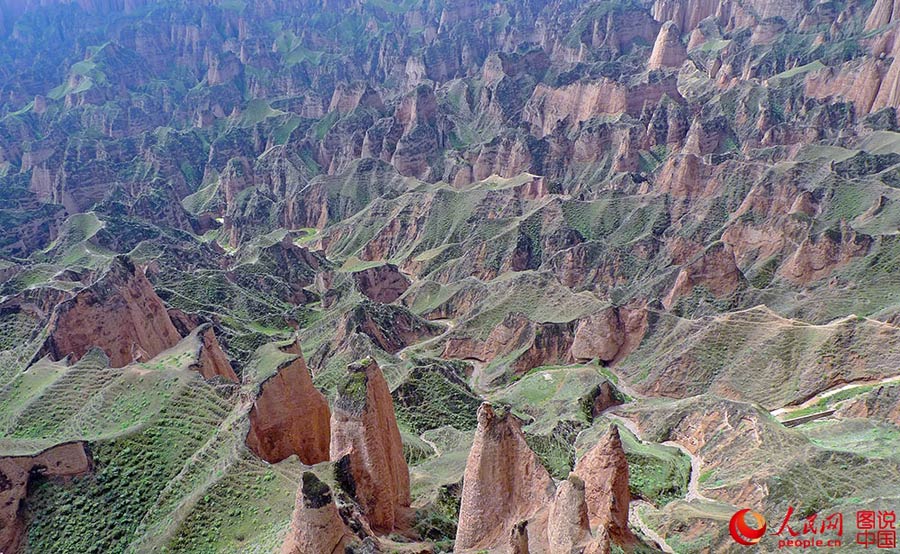 Divinely 'crafted' stone forest near Yellow River