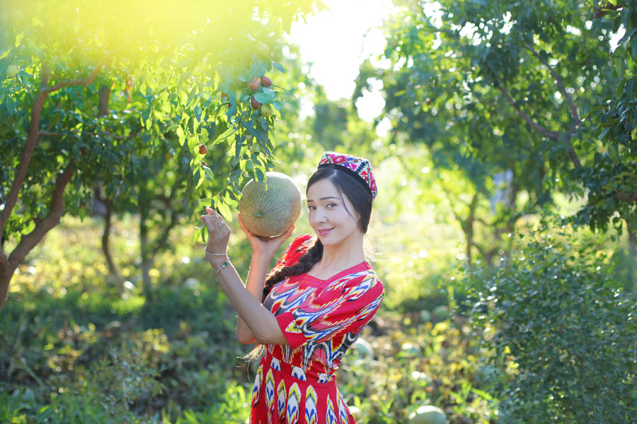 Uyghur village official models for melon harvest