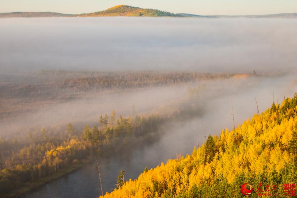 Breathtaking autumn scenery of Greater Khingan 