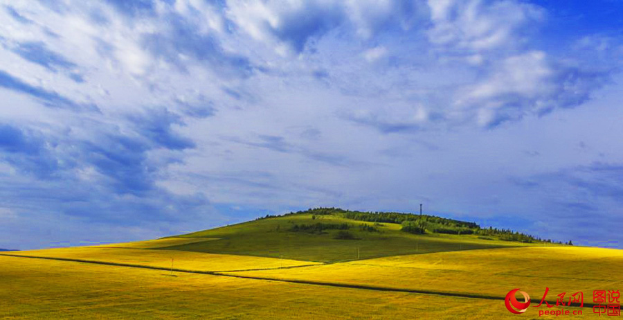 Summertime beauty of Hulun Buir grassland