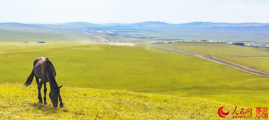 Summertime beauty of Hulun Buir grassland