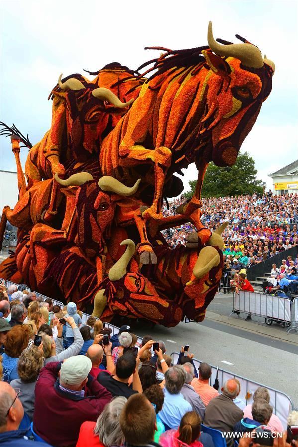 Flower parade held in Netherlands