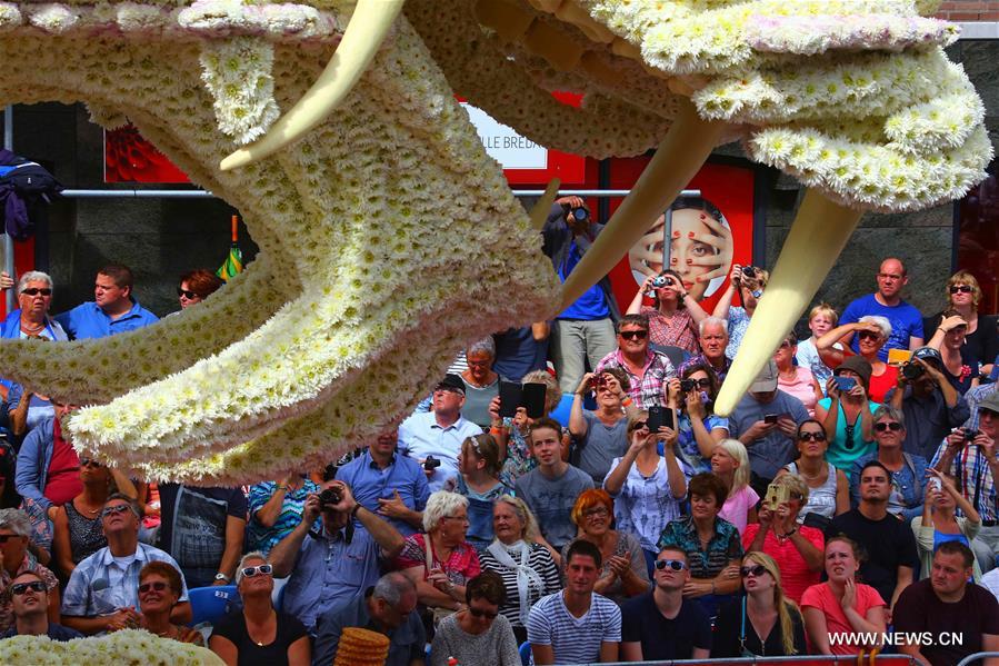 Flower parade held in Netherlands