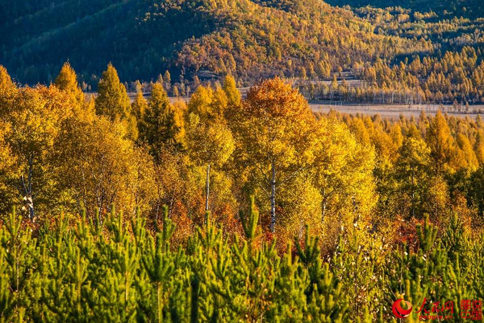 Magnificent autumn scenery of Huma River in northeast China