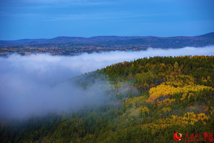 Beautiful autumn foliage around Greater Khingan Mountains