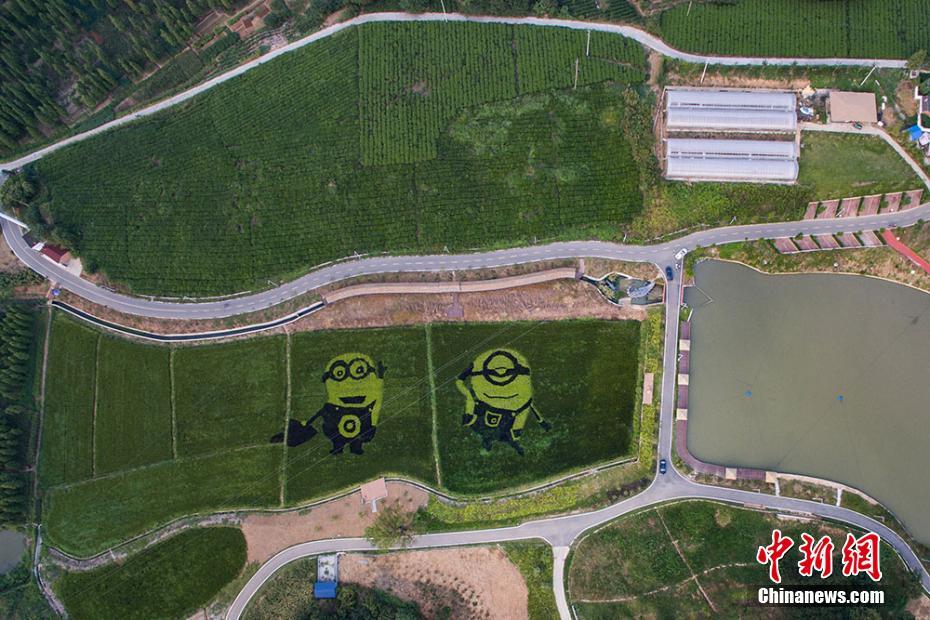 Creative images landscaped into paddy fields
