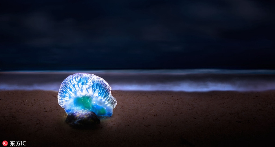 Fascinating Florida swampland