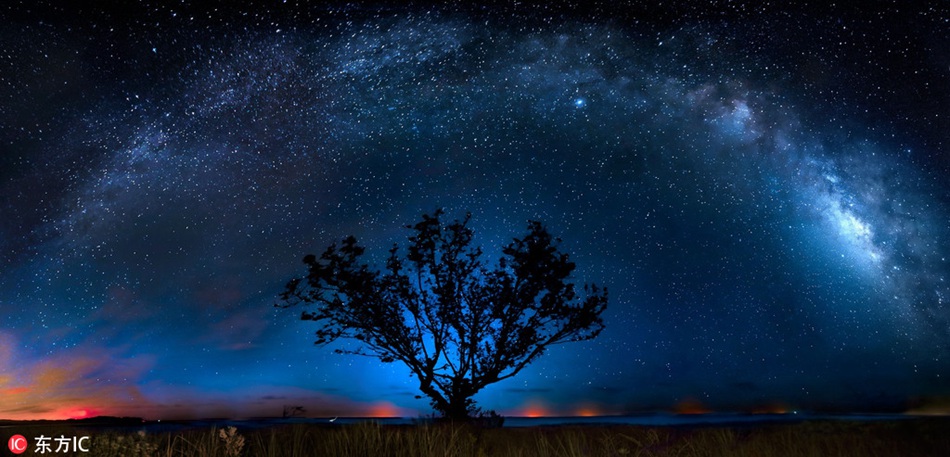 Fascinating Florida swampland