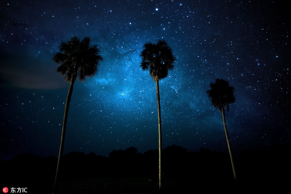 Fascinating Florida swampland