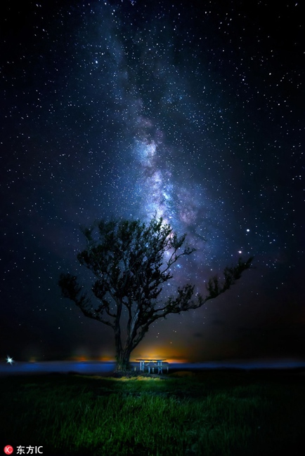 Fascinating Florida swampland