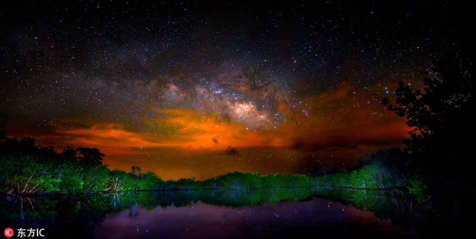 Fascinating Florida swampland