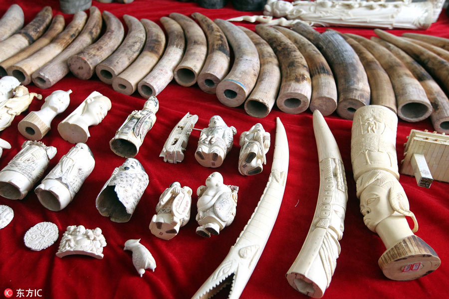 Trafficked wildlife products worth 45 million yuan discovered in central China
