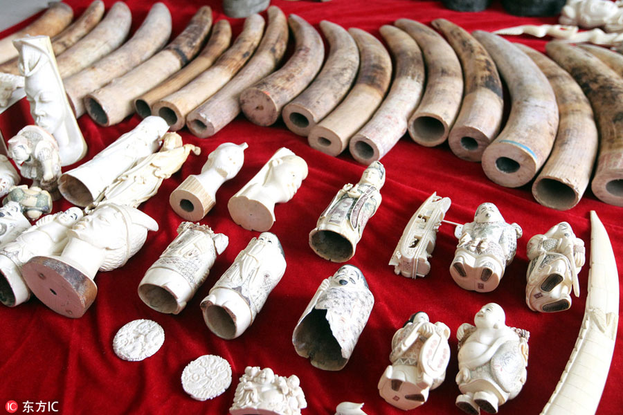 Trafficked wildlife products worth 45 million yuan discovered in central China