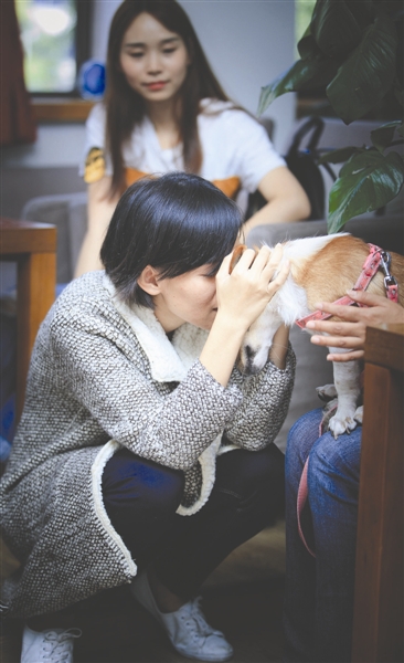 Cancer-stricken girl travels across country to find new owners for pet dogs