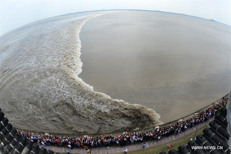 A tidal bore of the Qiantang River arrives in the town at its most heyday on Sept. 18. 