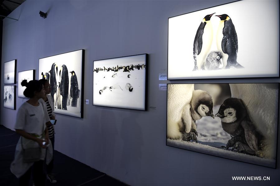 The 2016 PIP kicked off in Pingyao on Monday, showing more than 15,000 photos by over 2,000 photographers around the world. 